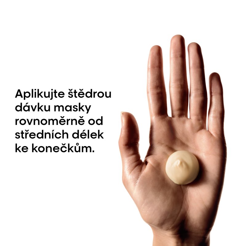 LP-Absolut Repair maska 250 ml
