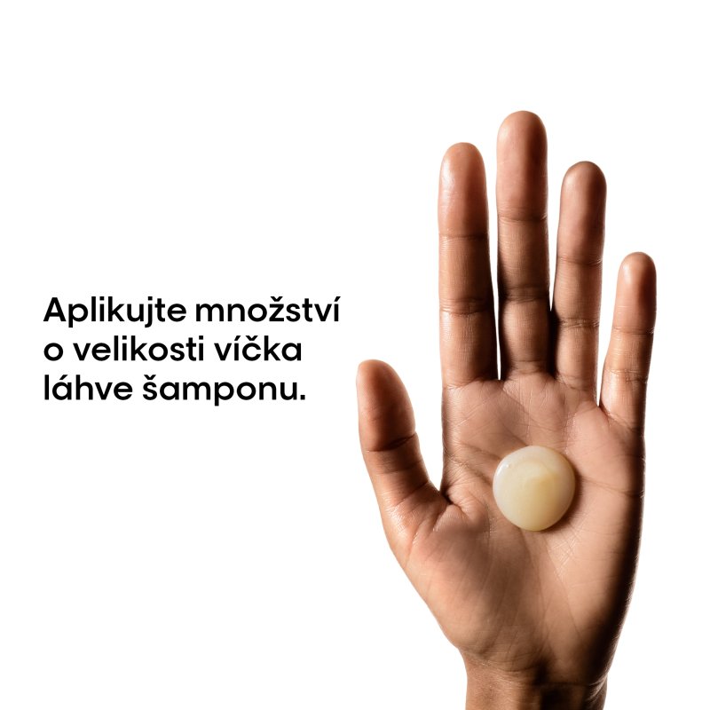 LP-Absolut Repair šampon 300 ml